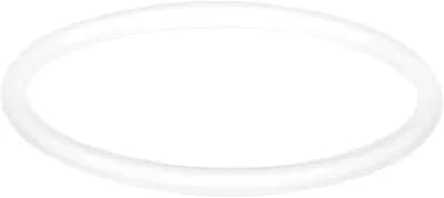 Sealing O-Ring
