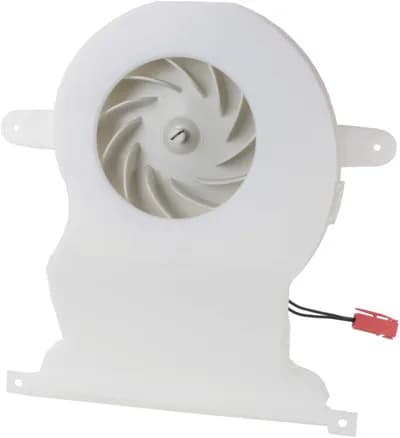 Fan Motor
