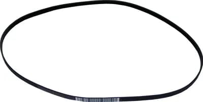 Drive Belt
