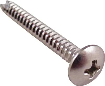 Screw (10321)