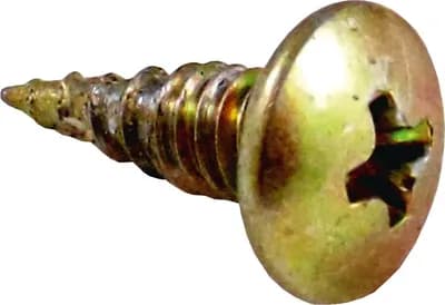 Screw