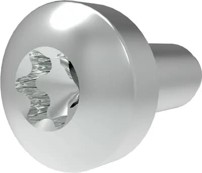 Hex Screw M5x12 T25