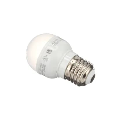 Light Bulb