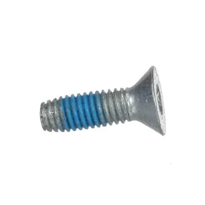 Screw