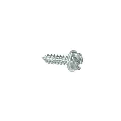 Screw