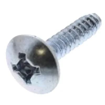 Screw