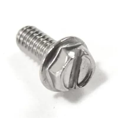 Screw