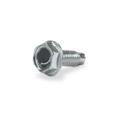 Screw