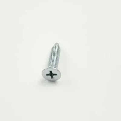 Door Hinge Screw