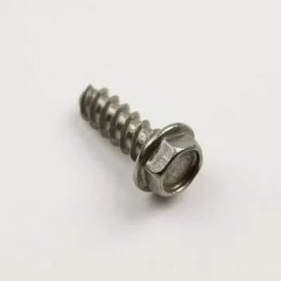 Screw