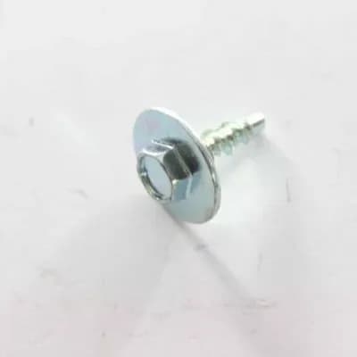 Screw