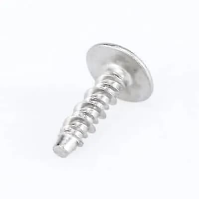 Screw