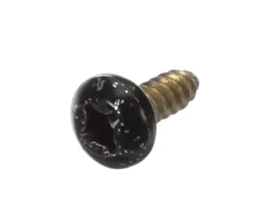 Access Panel Screw Black