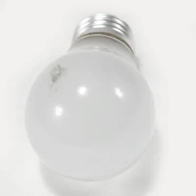 Bulb 120V 25W