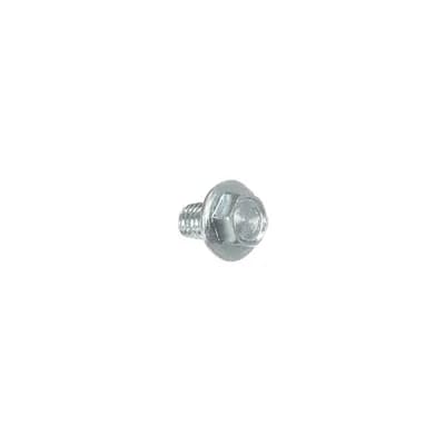 Screw