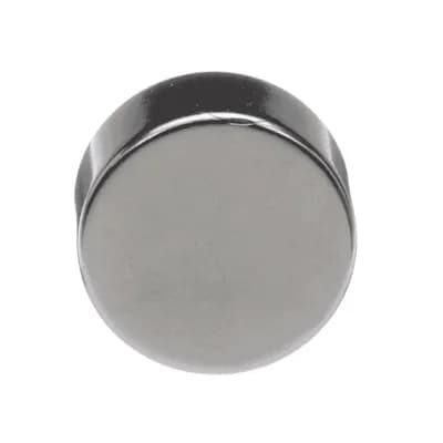 Magnet