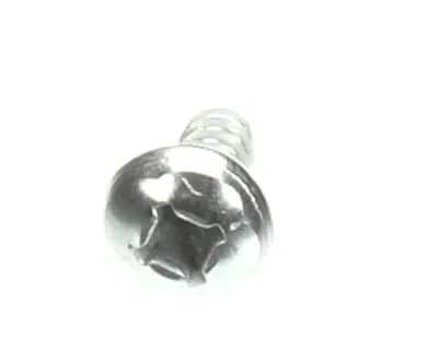 Screw
