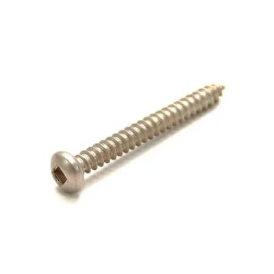 Screw