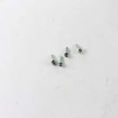 Screw