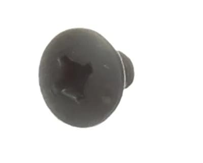 Wall Screw