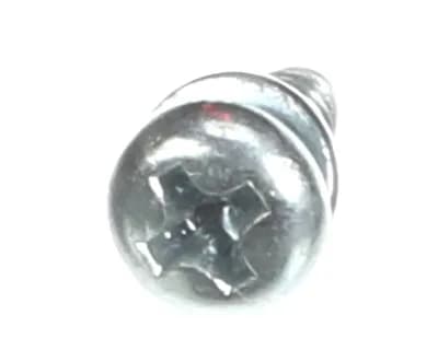 Screw