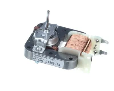 Motor