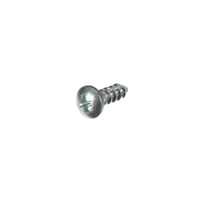 Mounting Screw