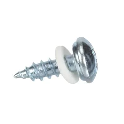 Screw